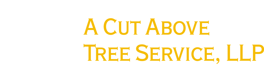 A Cut Above Tree Service, LLP